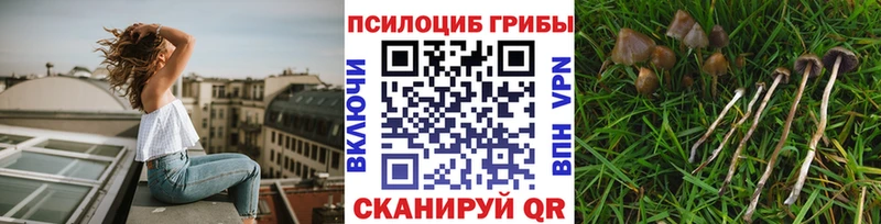 Псилоцибиновые грибы прущие грибы  Черепаново 